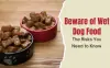 The 14 Major Disadvantages Of Wet Dog Food